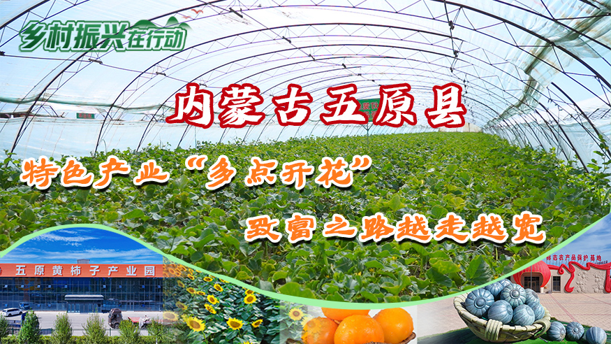 乡村振兴在行动丨内蒙古五原县：特色产业“多点开花” 致富之路越走越宽